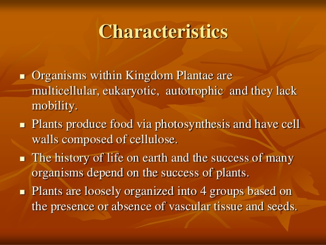 basic characteristics of plants